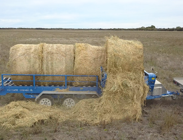 The Evolution of Hay Feeding: How Haymate Australia Is Shaping the Future